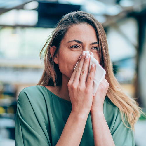 OPC: Vielseitige Hilfe bei Allergien - Entzündungshemmung, Histaminbindung, Reduktion - HS Activa