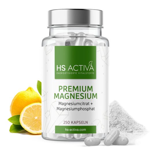 Premium Magnesium (Großpackung: 250 Kapseln)