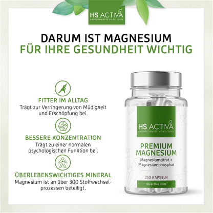 Premium Magnesium (Großpackung: 250 Kapseln)