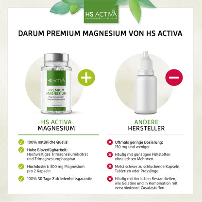 Premium Magnesium (Großpackung: 250 Kapseln)