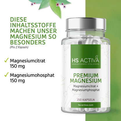 Premium Magnesium (Großpackung: 250 Kapseln)