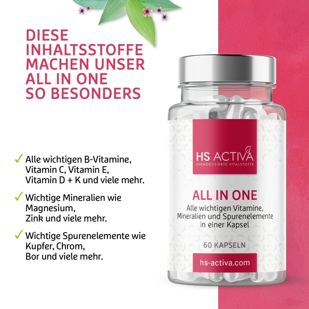 All In One | Alle wichtigen Vitamine, Mineralien und Spurenelemente in einem Produkt | (60 oder 250 Kapseln) - HS Activa