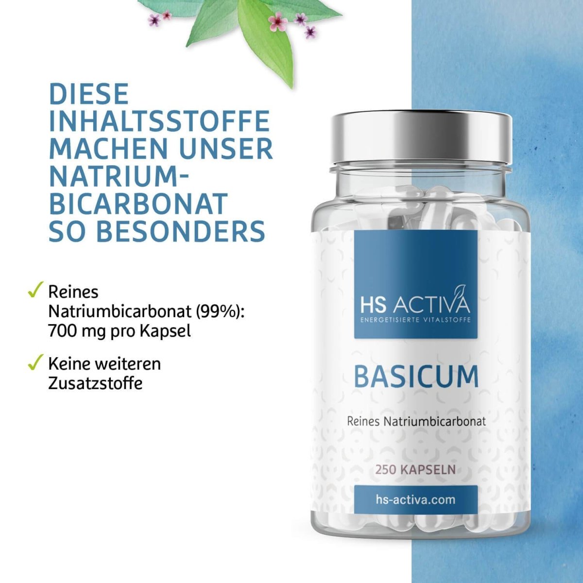 Basicum Natriumbicarbonat | Natron (250 Kapseln oder 400 g Pulver) - HS Activa