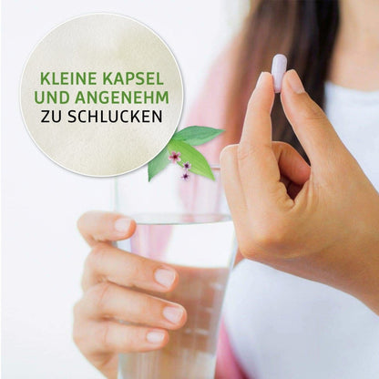 DETOX (250 Kapseln) - HS Activa