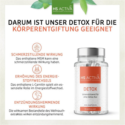 DETOX (250 Kapseln) - HS Activa