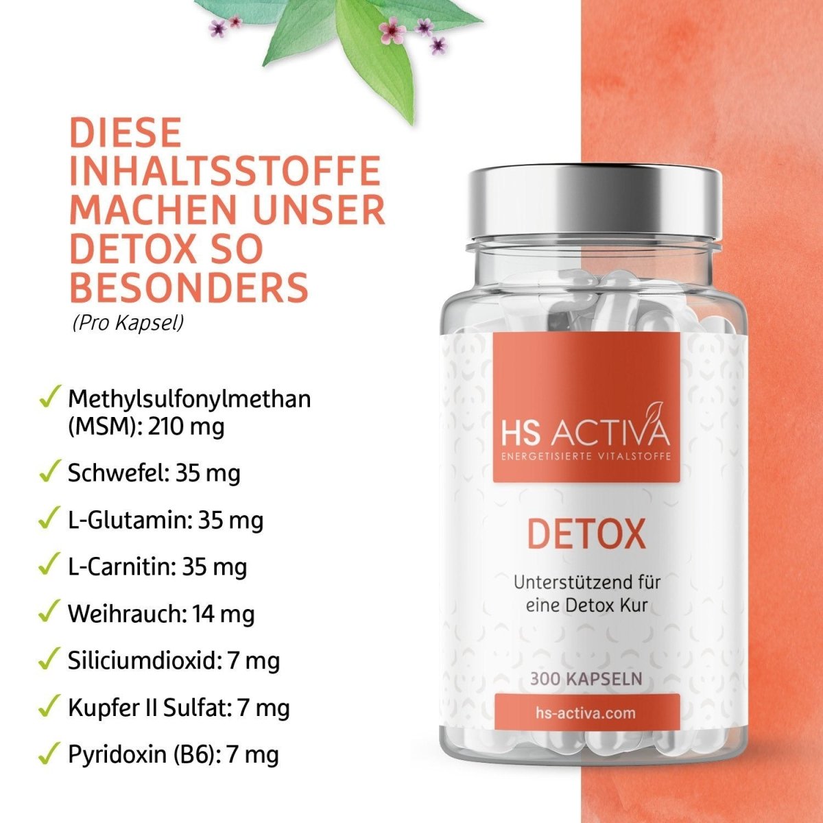 DETOX (250 Kapseln) - HS Activa