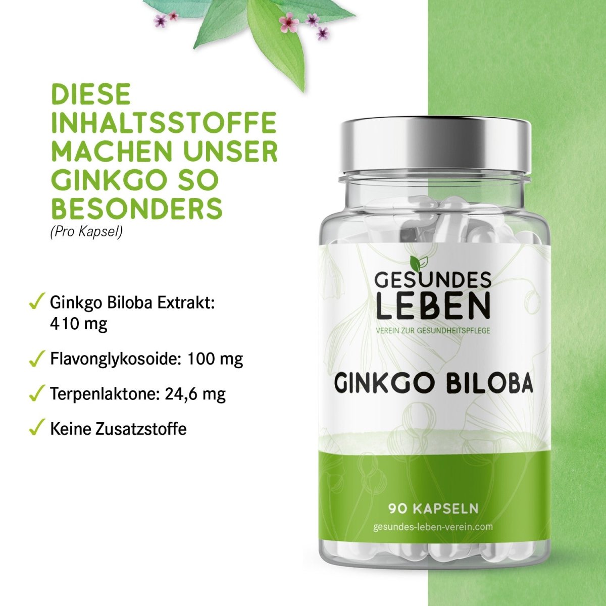 Gesundes Leben - Ginkgo Biloba - 90 Kapseln - HS Activa