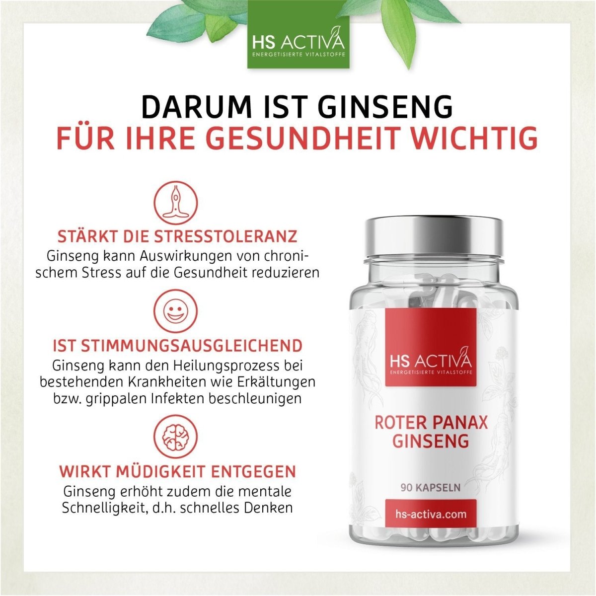 Ginseng I Panax Ginseng Extrakt 80% I Stärkt die Stresstoleranz & wirkt belebend auf Körper und Geist - HS Activa