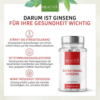 Ginseng I Panax Ginseng Extrakt 80% I Stärkt die Stresstoleranz & wirkt belebend auf Körper und Geist - HS Activa