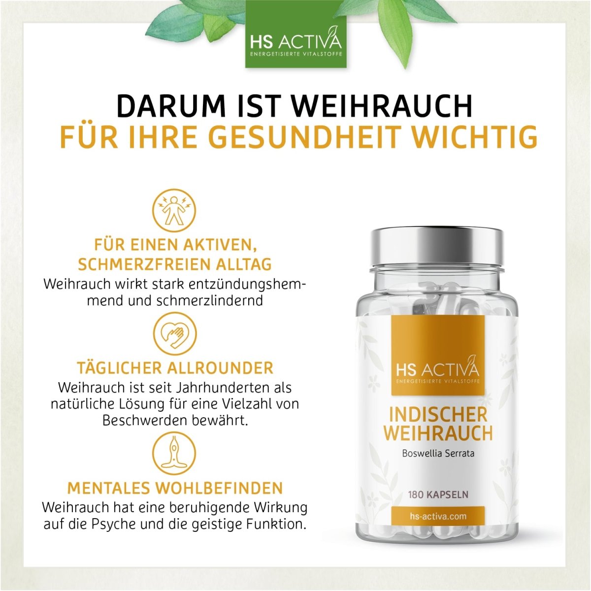 Indischer Weihrauch | Boswellia Serrata | 80% Boswelliasäuren - HS Activa