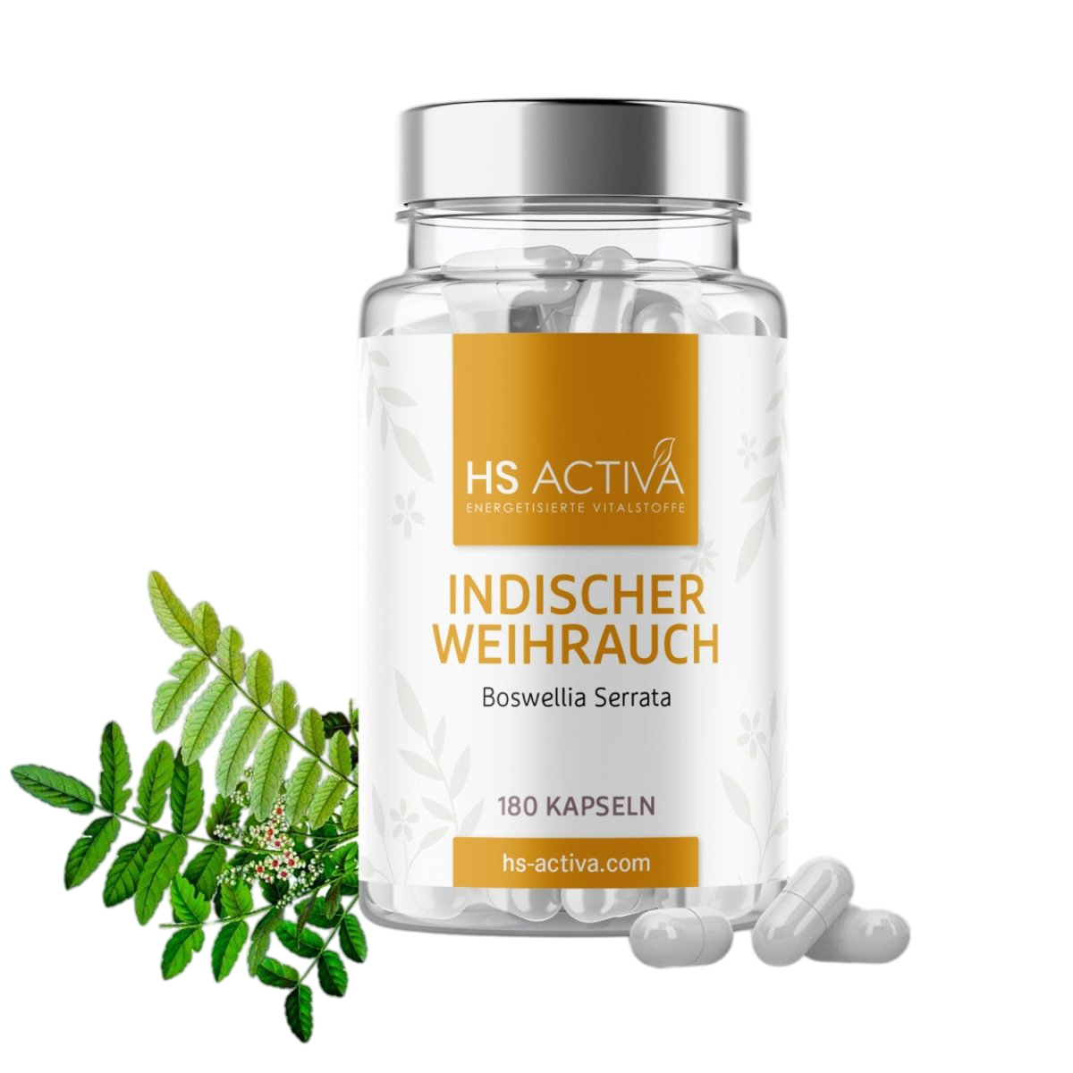 Indischer Weihrauch | Boswellia Serrata | 80% Boswelliasäuren - HS Activa