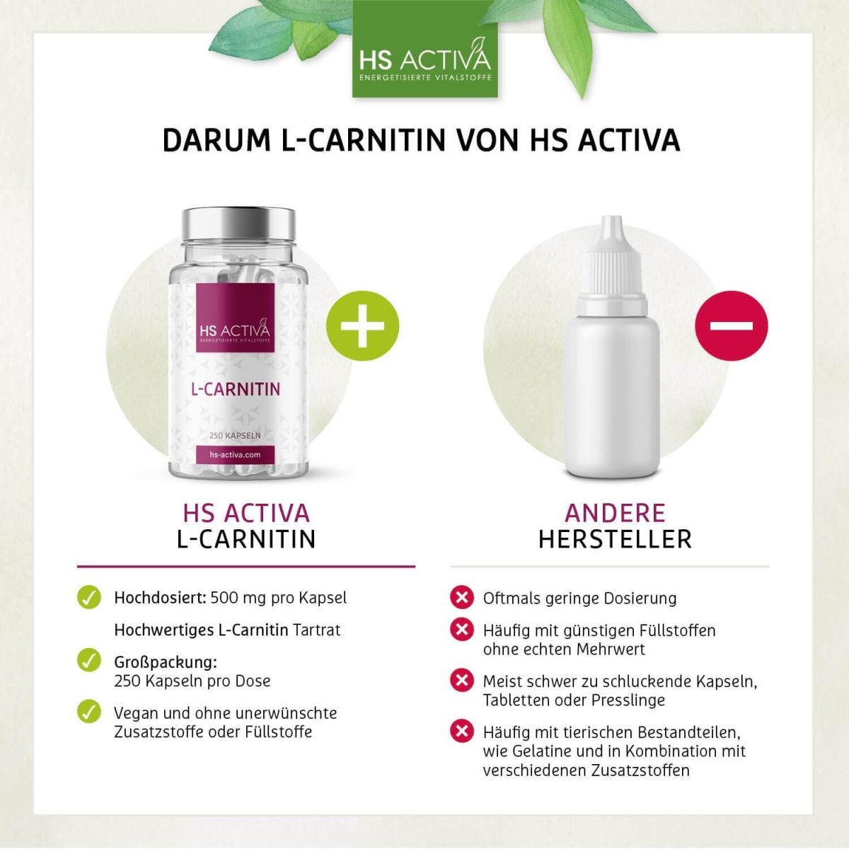 L-Carnitin (Großpackung: 250 Kapseln) - HS Activa