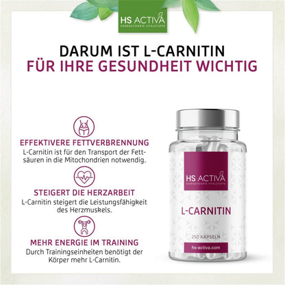 L-Carnitin (Großpackung: 250 Kapseln) - HS Activa