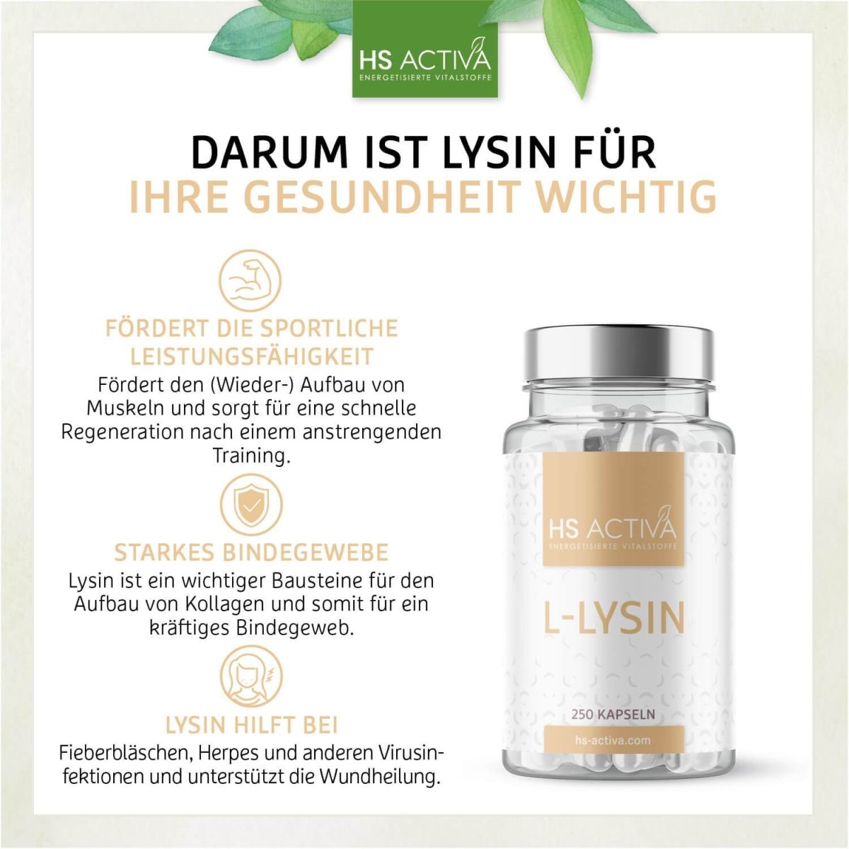 L-Lysin Monohydrochlorid (Großpackung: 250 Kapseln) - HS Activa