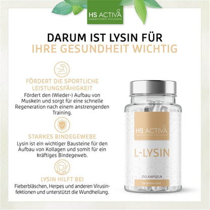 L-Lysin Monohydrochlorid (Großpackung: 250 Kapseln) - HS Activa