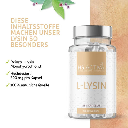 L-Lysin Monohydrochlorid (Großpackung: 250 Kapseln) - HS Activa