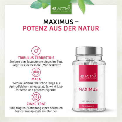 Maximus | Natürliches Potenzmittel (Ohne Chemie) | Libido nachhaltig steigern - HS Activa