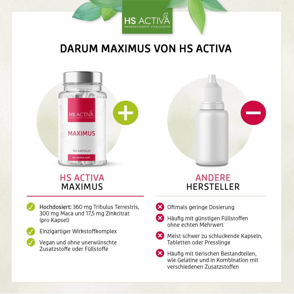 Maximus | Natürliches Potenzmittel (Ohne Chemie) | Libido nachhaltig steigern - HS Activa