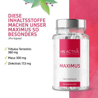 Maximus | Natürliches Potenzmittel (Ohne Chemie) | Libido nachhaltig steigern - HS Activa