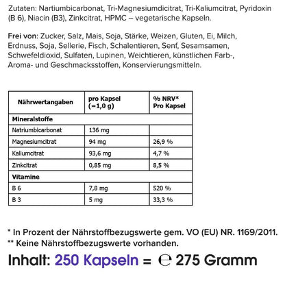 Multimineral/ Mineralien Komplex - 250 Kapseln - HS Activa