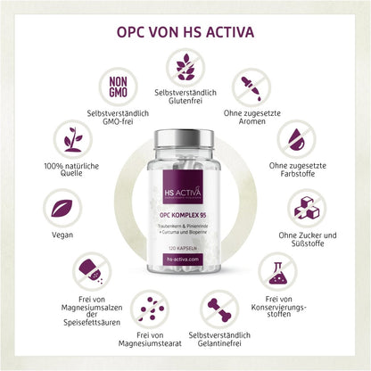 OPC Komplex 95 - Traubenkern & Pinienrinde + Curcuma und Bioperine (120 Kapseln) - HS Activa