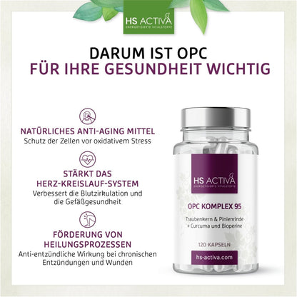 OPC Komplex 95 - Traubenkern & Pinienrinde + Curcuma und Bioperine (120 Kapseln) - HS Activa