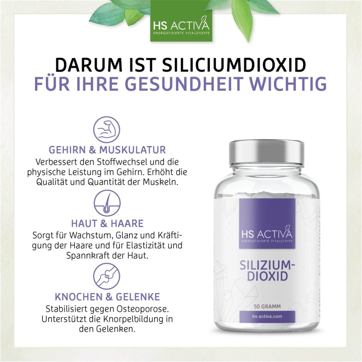 Silicium (50 Gramm) - HS Activa