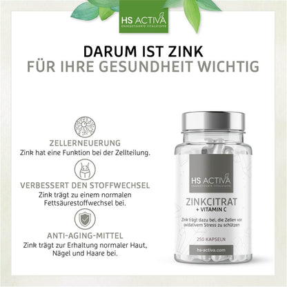 Zink + Vitamin C | Großpackung: 250 Kapseln - HS Activa