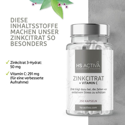 Zink + Vitamin C | Großpackung: 250 Kapseln - HS Activa