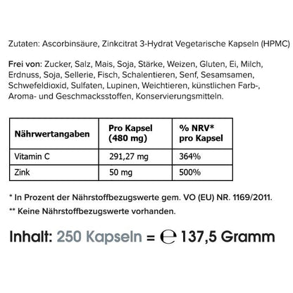 Zink + Vitamin C | Großpackung: 250 Kapseln - HS Activa