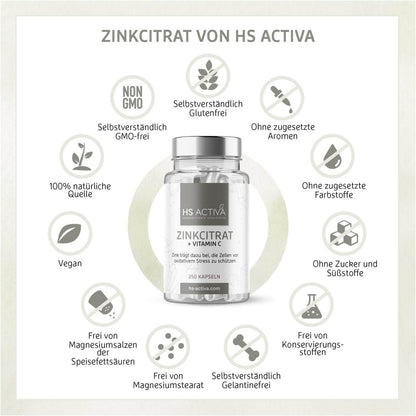 Zink + Vitamin C | Großpackung: 250 Kapseln - HS Activa